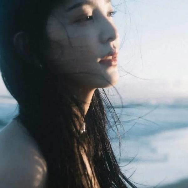 棕榈树森林